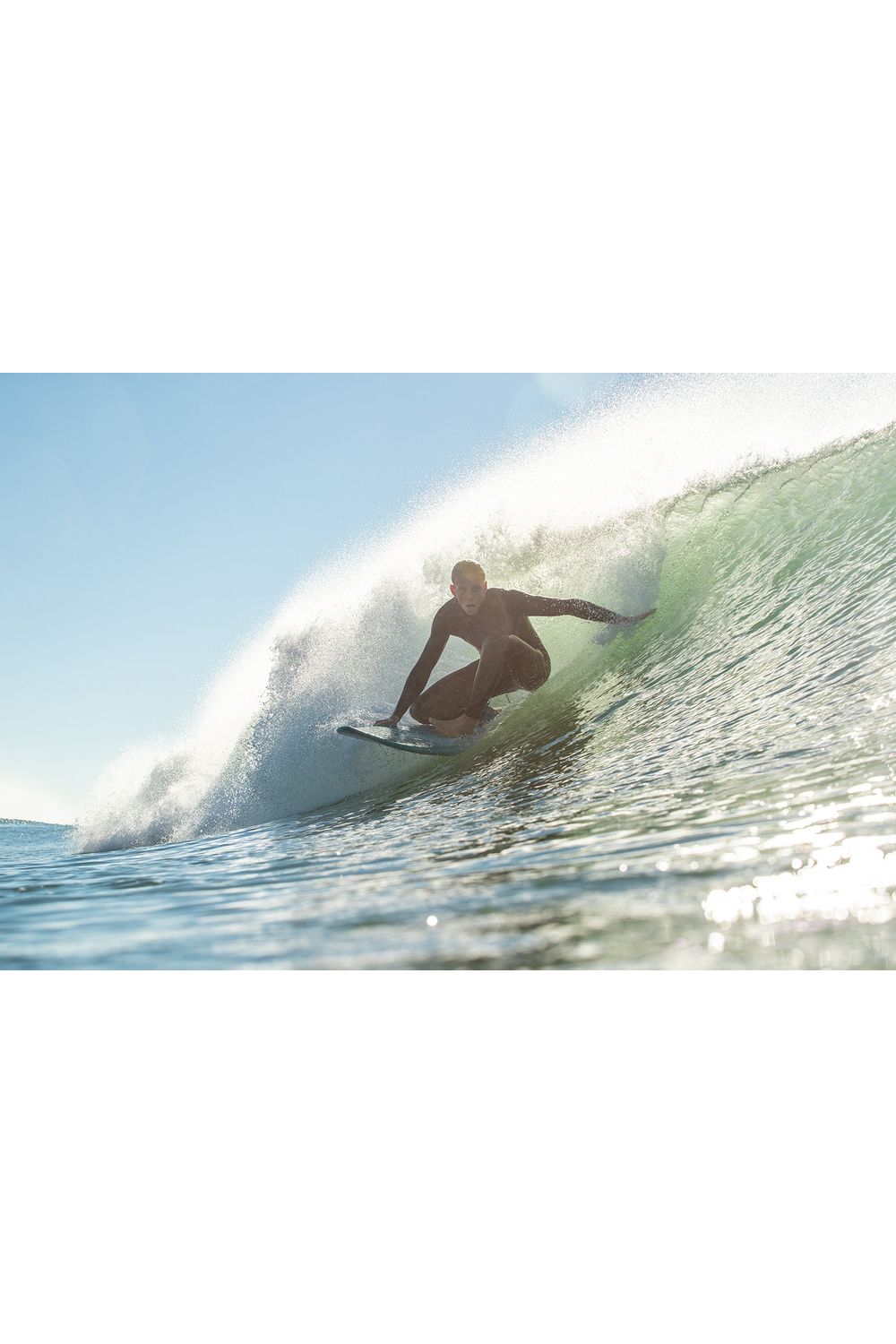 Torq TET Mod Fish Surfboard in Pinline Seagreen