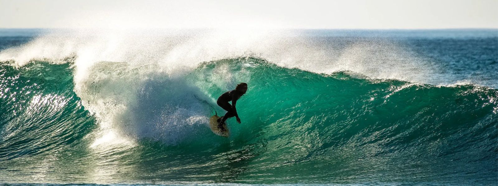 O'Neill Wetsuits